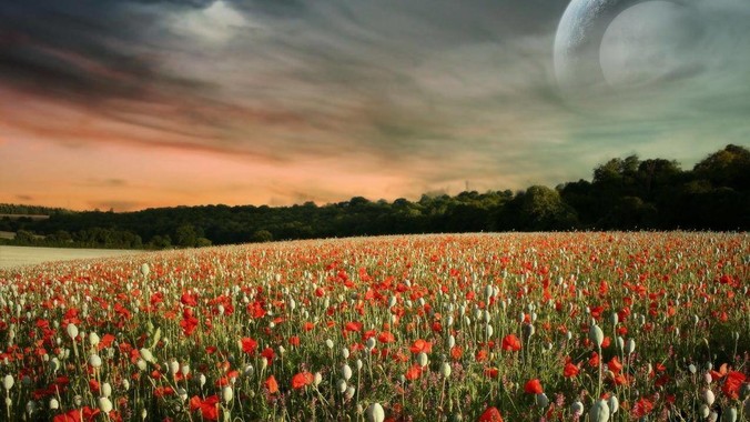 华为Pura 80首销遇冷，是否说明消费者已经开始对麒麟芯片性能有所觉醒？